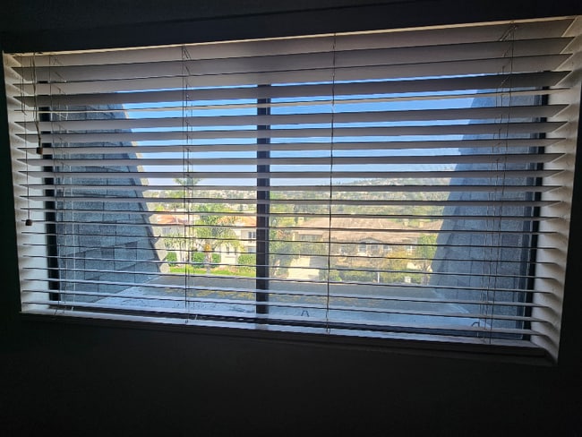 2533 Navarra Dr in Carlsbad, CA - Building Photo - Building Photo