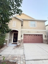 20414 Carolina Cherry Ct in Tampa, FL - Building Photo