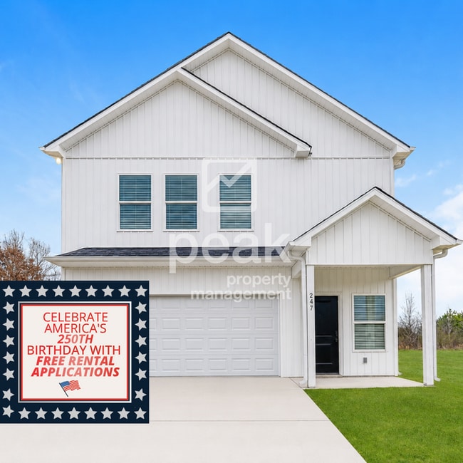property at 247 4th Ave