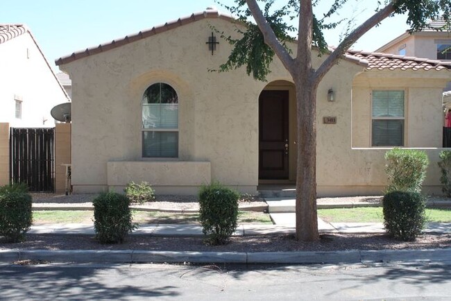 3481 E Windsor Dr in Gilbert, AZ - Building Photo - Building Photo
