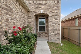14120 Purple Azalea Dr in Pflugerville, TX - Building Photo - Building Photo