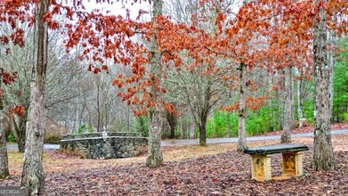 256 Stoney Ridge Rd in Blairsville, GA - Building Photo - Building Photo