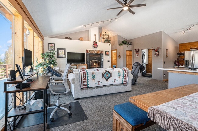 1353 Alice Rd in Idaho Springs, CO - Building Photo - Building Photo