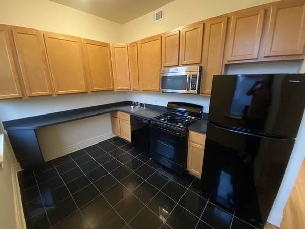 1155 W Dickens Ave in Chicago, IL - Building Photo - Building Photo