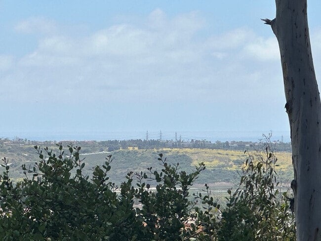 4378 Tuolumne Pl in Carlsbad, CA - Building Photo - Building Photo