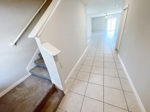 3721 Daisy Bloom Pl in Tampa, FL - Building Photo - Building Photo