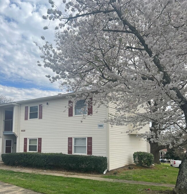 property at 7985 Shady Oak Trail