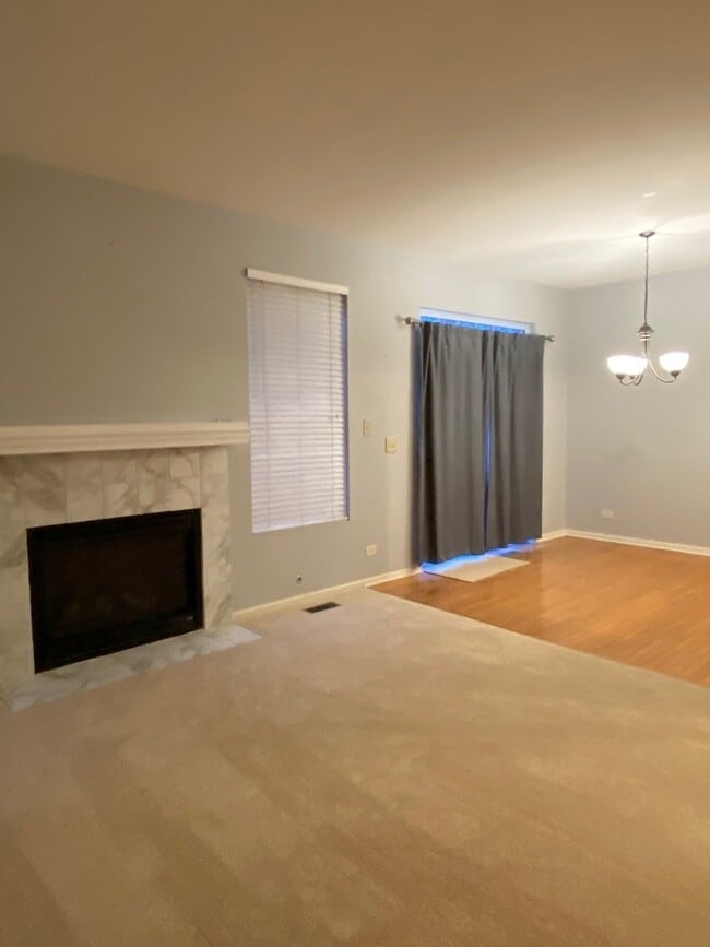 364 Grape Vine Trail in Oswego, IL - Building Photo - Building Photo