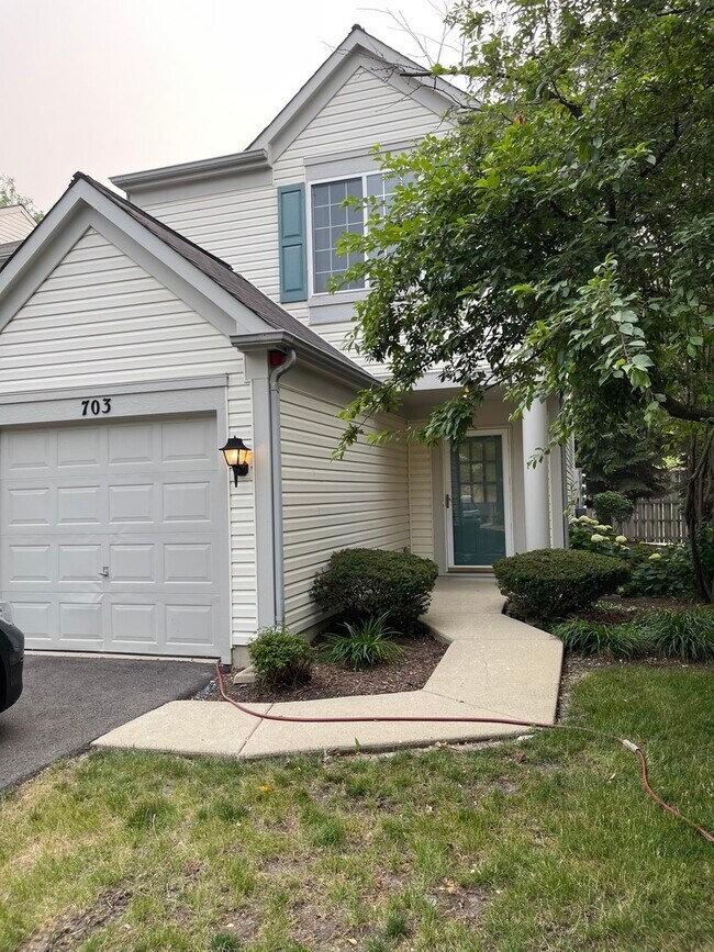 703 Blossom Ct in Naperville, IL - Building Photo - Building Photo