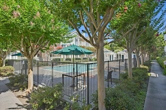 617 Arcadia Ter, Unit 205 in Sunnyvale, CA - Foto de edificio - Building Photo