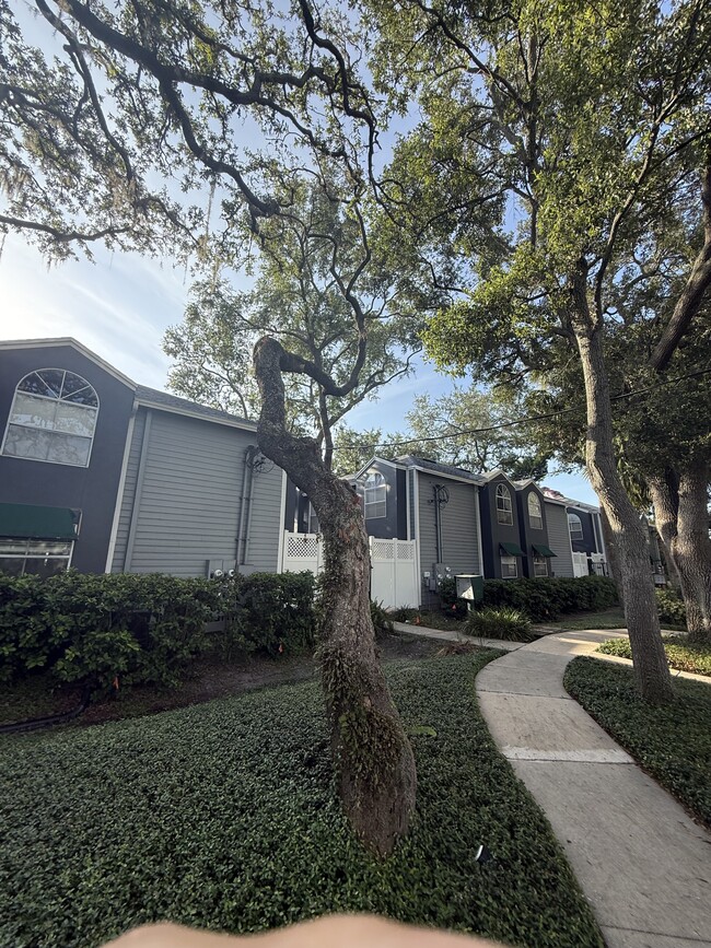606 S Albany Ave in Tampa, FL - Building Photo - Building Photo