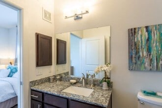 14233 The Lakes Blvd in Austin, TX - Building Photo - Building Photo