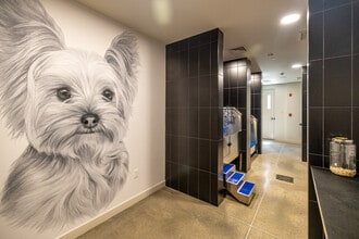 Aria on the Row in Worcester, MA - Building Photo - Interior Photo