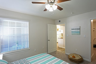 Turtle Creek Apartment Homes in Lutz, FL - Building Photo - Interior Photo