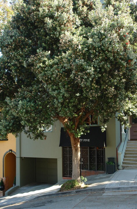 35 Alpine Terr. in San Francisco, CA - Foto de edificio