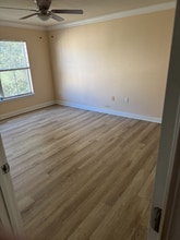 18145 Bridle Bit Ln in Tampa, FL - Building Photo - Building Photo