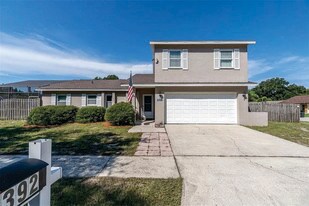 1392 Chelsea Dr in Tarpon Springs, FL - Building Photo