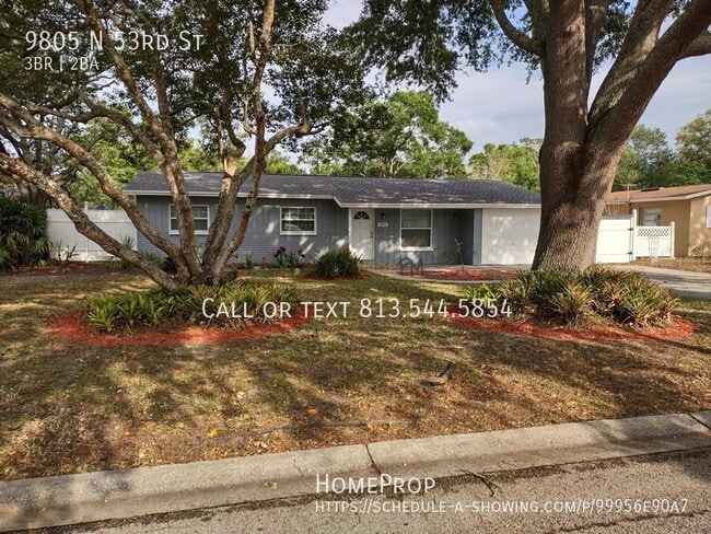 9805 N 53rd St in Tampa, FL - Building Photo - Building Photo