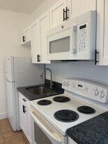 217 SW 21st Ave in Miami, FL - Building Photo