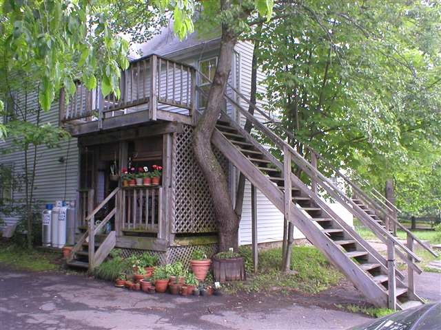 263 Cottekill Rd in Cottekill, NY - Foto de edificio - Building Photo