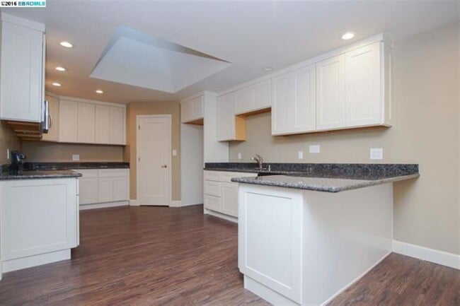 1345 Shell Ct in Discovery Bay, CA - Building Photo - Building Photo