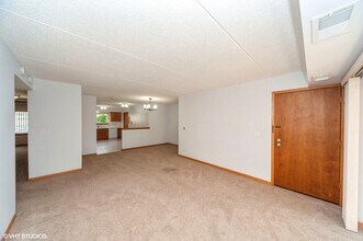 8710 W Evelyn Ln in Chicago, IL - Building Photo - Building Photo