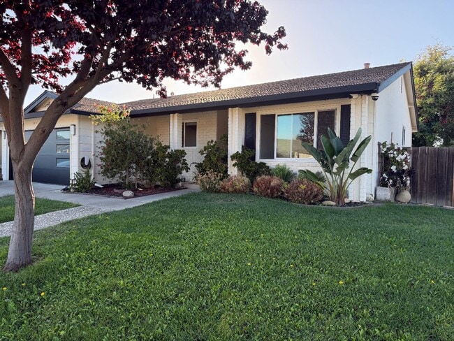 3415 Isherwood Pl in Fremont, CA - Building Photo - Building Photo