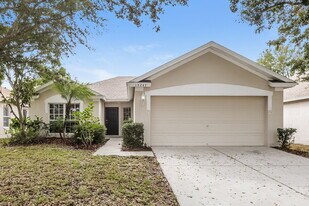 13247 Early Run Ln in Riverview, FL - Building Photo