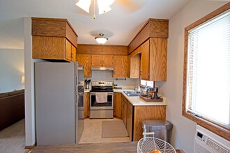 301 5th St S, Unit 4 in Cannon Falls, MN - Building Photo - Building Photo
