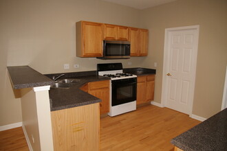 1805 Pontarelli Ct in Aurora, IL - Building Photo - Building Photo