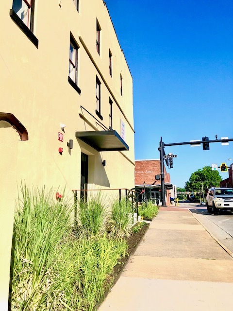 The Doyne in Farmville, VA - Foto de edificio - Building Photo