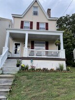 223 E Pennview Ave in Pittsburgh, PA - Building Photo