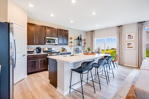 15238 S Hepworth Ct in Plainfield, IL - Building Photo - Building Photo