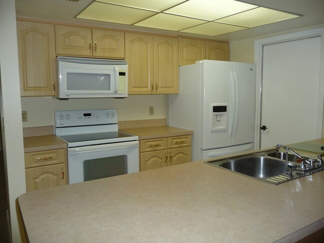 4034 Windtree Dr in Tampa, FL - Building Photo - Building Photo