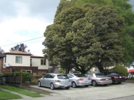 802 56th St in Oakland, CA - Building Photo