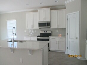 3808 Great Falls Loop in Middleburg, FL - Building Photo - Building Photo