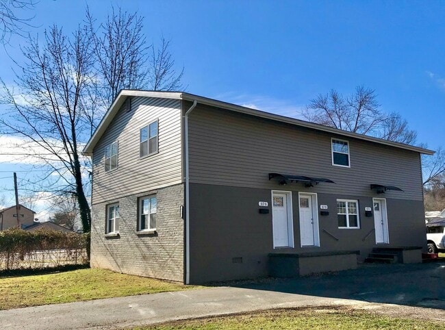 property at 317 Gilman Ave