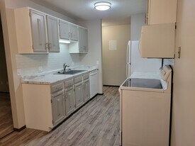 3917 Heritage Hills Dr, Unit 102 in Bloomington, MN - Building Photo