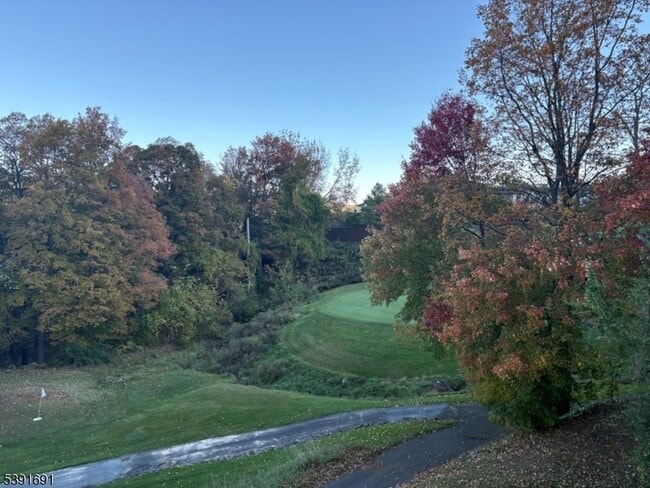 property at 2 Falkenstein Dr