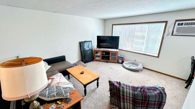795 Weeks Ave SE in Minneapolis, MN - Building Photo - Building Photo
