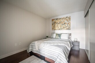 2708 Puente de Luz in Toronto, ON - Building Photo - Building Photo