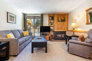 455 Village Rd, Unit ID1387658P in Breckenridge, CO - Building Photo