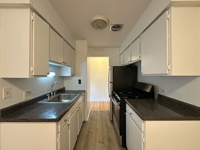 432 W Oakdale Ave, Unit 3 in Chicago, IL - Building Photo - Building Photo