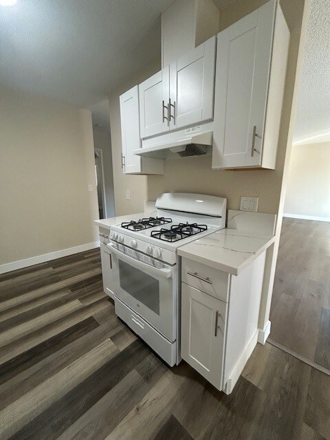 921 S Trident St in Anaheim, CA - Building Photo