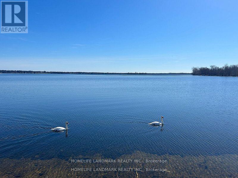 17 Bathurst St in Toronto, ON - Building Photo
