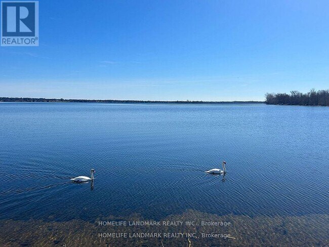 property at 17 Bathurst St