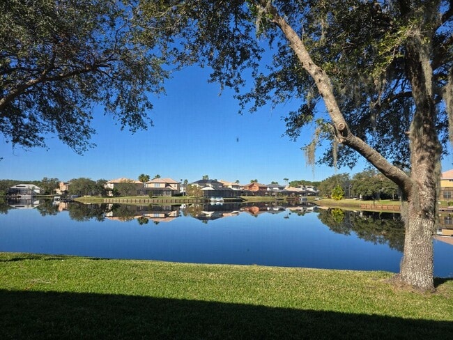 18030 Java Isle Dr in Tampa, FL - Building Photo - Building Photo