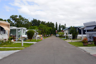 Palm Circle Community in St. Petersburg, FL - Building Photo - Building Photo