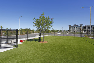 Charleston on 66th in Largo, FL - Foto de edificio - Building Photo