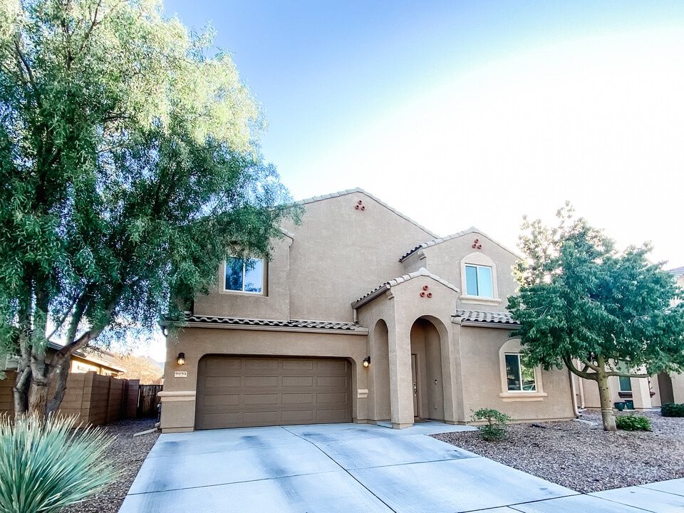 9095 Blue Saguaro St in Marana, AZ - Building Photo